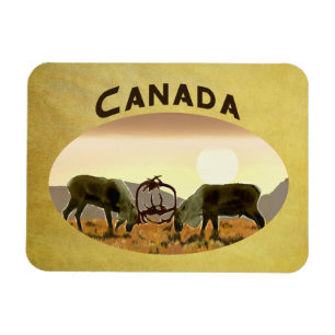 Ímã Cariou Duel - Canadá