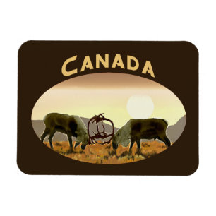 Ímã Cariou Duel - Canadá