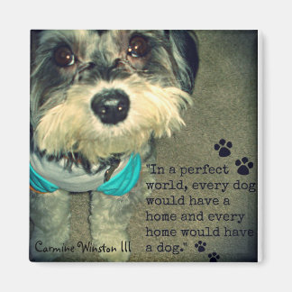 Imã Carmine Winston III- "Num Mundo Perfeito." Íman