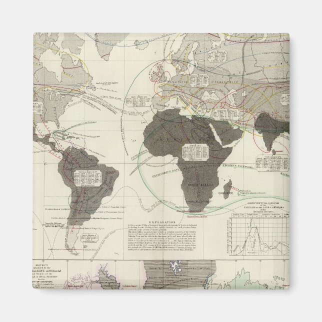 Imã Carnivora (Frente)