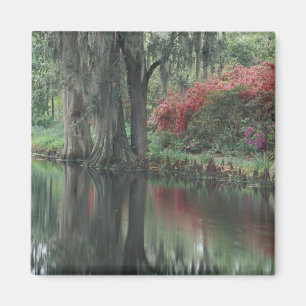 Imã Carolina do Sul, Charleston