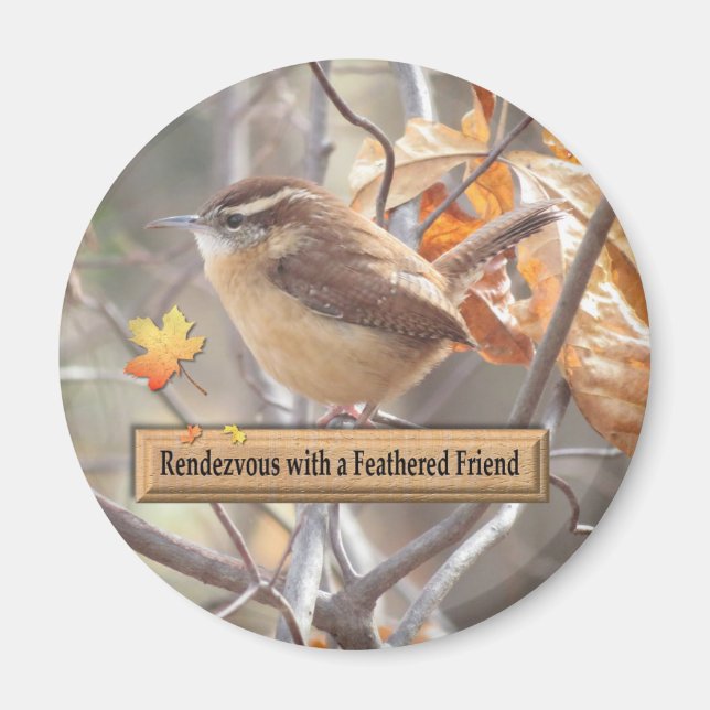 Imã Carolina Wren Birding Magnet. (Frente)