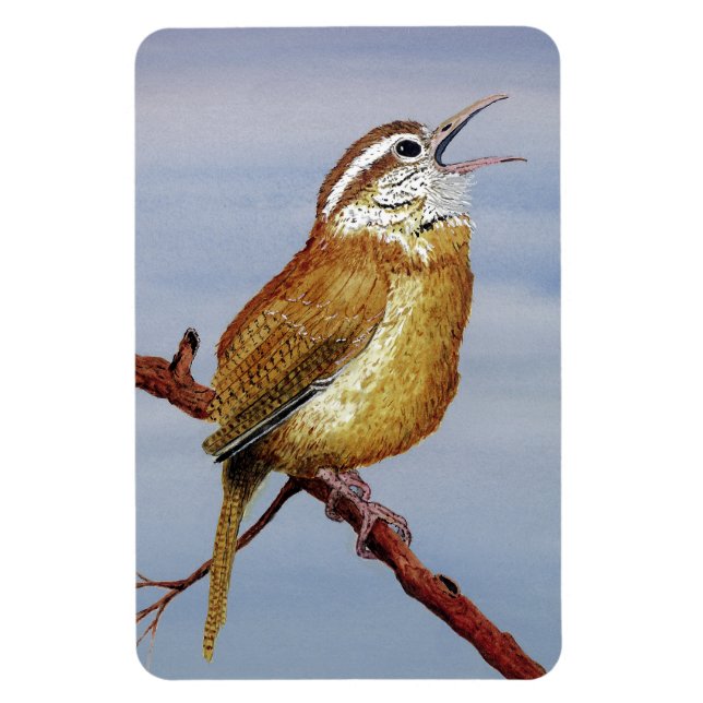 Ímã Carolina Wren Magnet (Vertical)