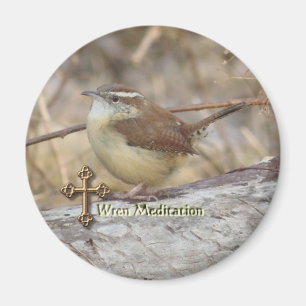 Imã Carolina Wren Meditação