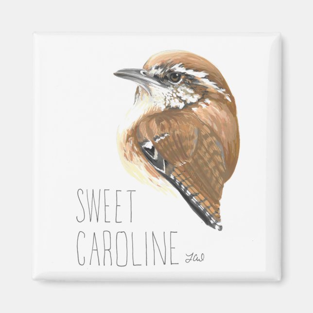 Imã Caroline (Carolina Wren) (Frente)