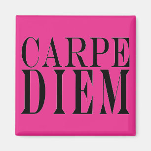 Imã Carpe Diem Agarra o Dia da Felicidade de Citação