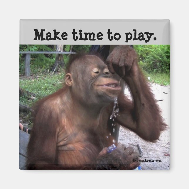 Imã Carpe Diem Cute Willife (Frente)