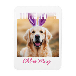 Ímã Carregar o Nome de Foto de Pet Personalizado que A