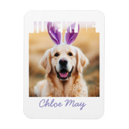 Ímã Carregar o Nome de Foto de Pet Personalizado que A