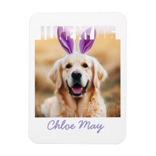 Ímã Carregar o Nome de Foto de Pet Personalizado que A