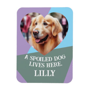 Ímã Carregar o Nome e a Foto da Pet de Coração Persona