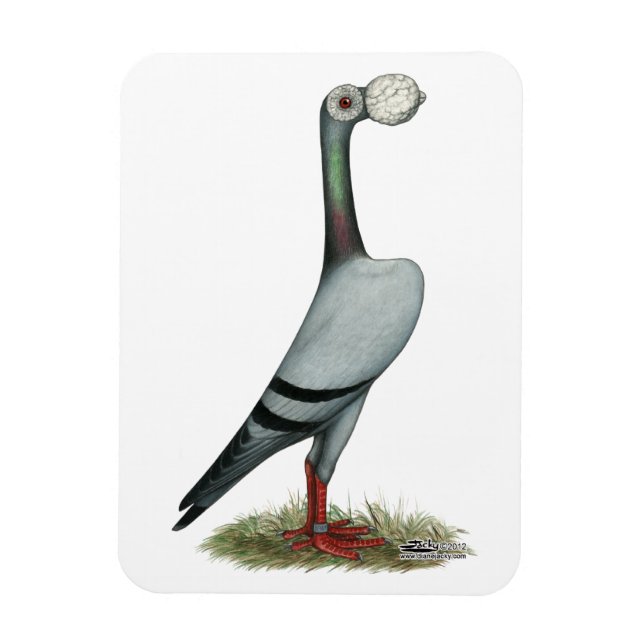 Ímã Carrier Pigeon 2012 (Vertical)