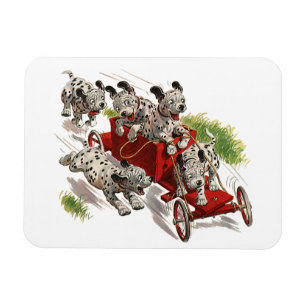 Ímã Carro de bombeiros Dalmatian bonito dos cães de