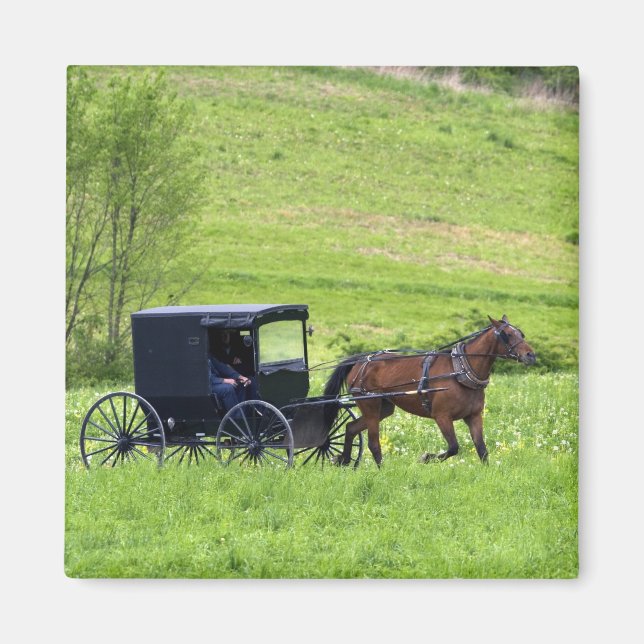 Imã Carroça e cavalo Amish perto de Berlim, Ohio. (Frente)