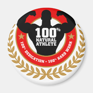 Imã carroçaria.png