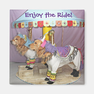 Imã Carrossel do ouro Retriever