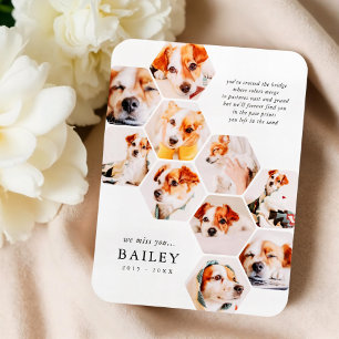 Ímã Cartão de Colagem de Foto Simples Pet Memorial Mod