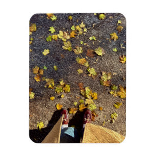 Ímã Cartão de saudação de queda de Chicago