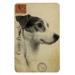 Ímã Cartão Postal Antigo Jack Russell