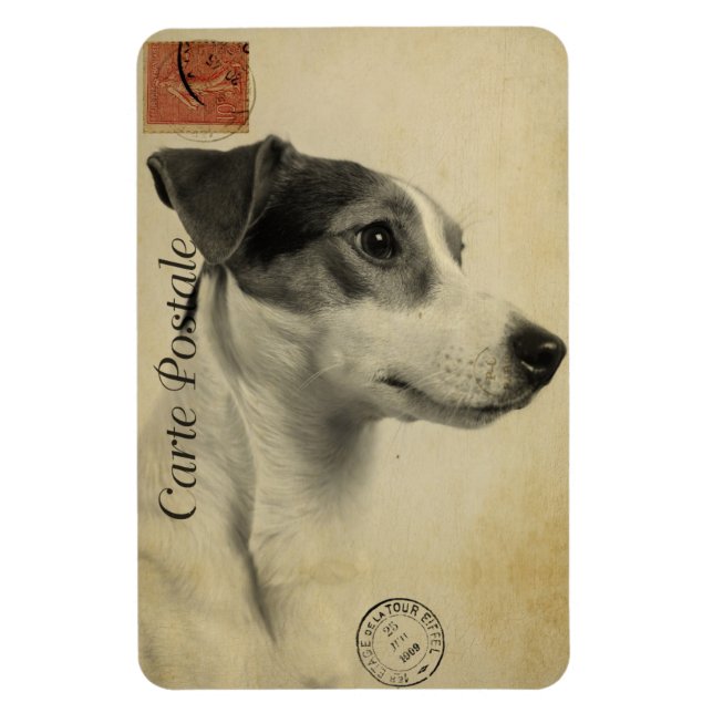 Ímã Cartão Postal Antigo Jack Russell (Vertical)