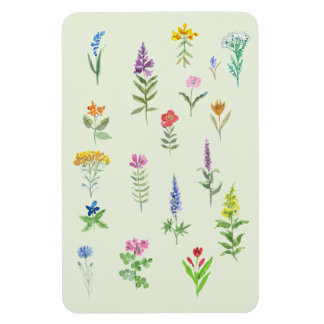 Ímã cartão postal de flores de jardim