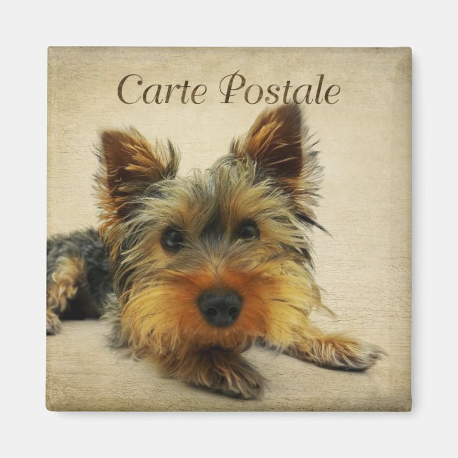 Imã Cartão postal de Yorkshire Vintage (Frente)