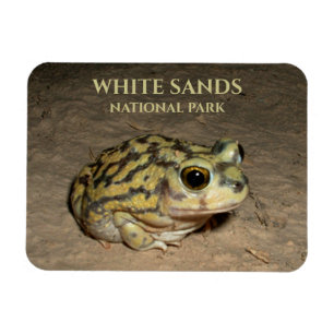 Ímã Cartão-postal do Spadefoot Toad, White Sands Natio