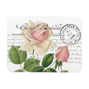 Ímã Carte Postale Pink Rose Script Vintage