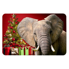 Ímã Cartões de natal elefantes
