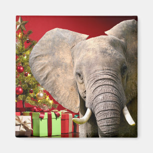 Imã Cartões de natal elefantes
