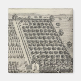 Imã Cartões, Woodland