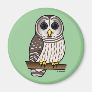 Imã Cartoon Barred Owl