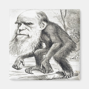 Imã Cartoon Editorial De Charles Darwin 1871