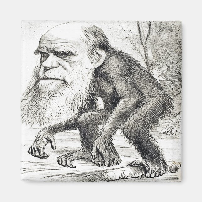 Imã Cartoon Editorial De Charles Darwin 1871 (Frente)