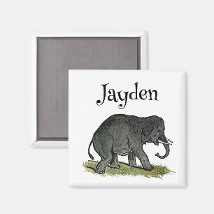 Imã Cartoon Elefante Adorável, Amigo do Zoológico Engr