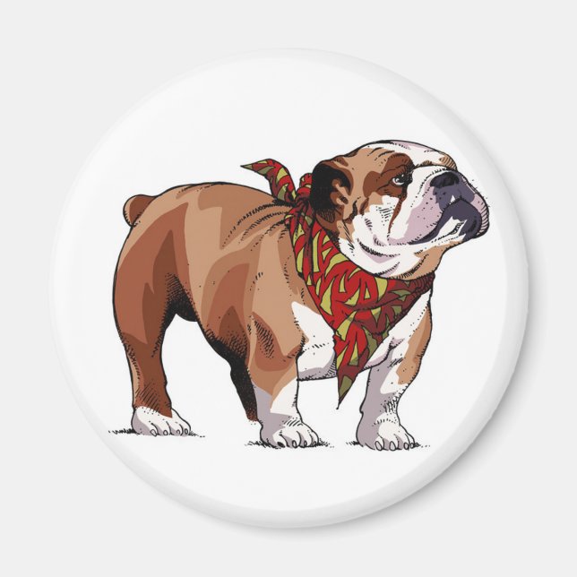 Imã Cartoon English Bulldog Puppy Dog Magnet (Frente)
