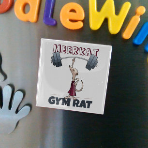 Imã Cartoon Engraçado Meerkat Gym Rat Engraçado