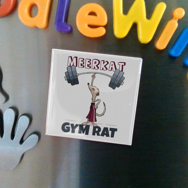 Imã Cartoon Engraçado Meerkat Gym Rat Engraçado (Criador carregado)