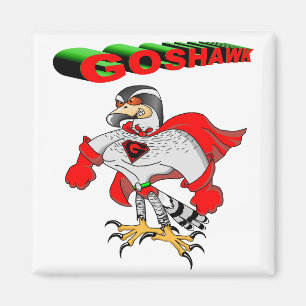 Imã Cartoon Goshawk