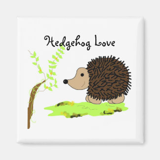 Imã Cartoon Hedgehog