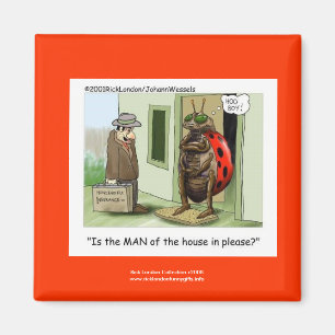 Imã Cartoon Ladybug Engraçado No Quality Novelty Magn