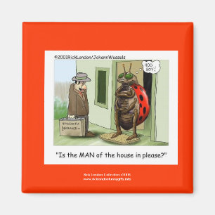 Imã Cartoon Ladybug Engraçado No Quality Novelty Magne