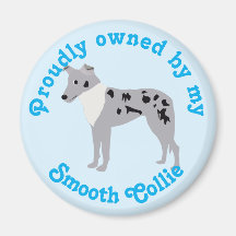 Cartoon Smooth Collie Merle Magnet
