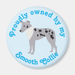 Imã Cartoon Smooth Collie Merle Magnet