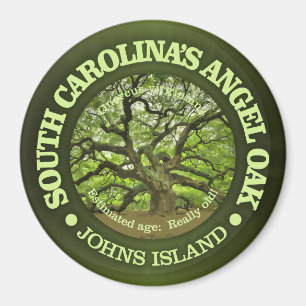 Imã Carvalho do anjo