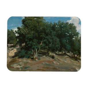 Ímã Carvalhos de Fontainebleau