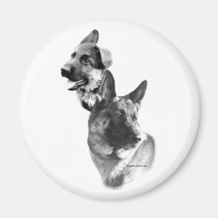 Imã Carvão german shepherd 2