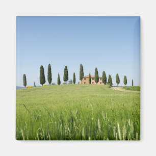 Imã Casa da quinta em Toscânia com ímã dos cipreste