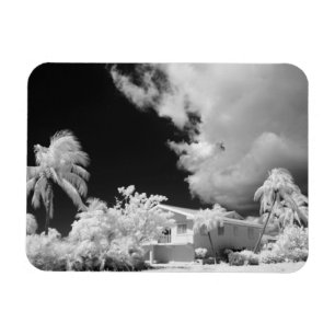 Ímã Casa das Florida Keys e suas palmeiras, EUA.