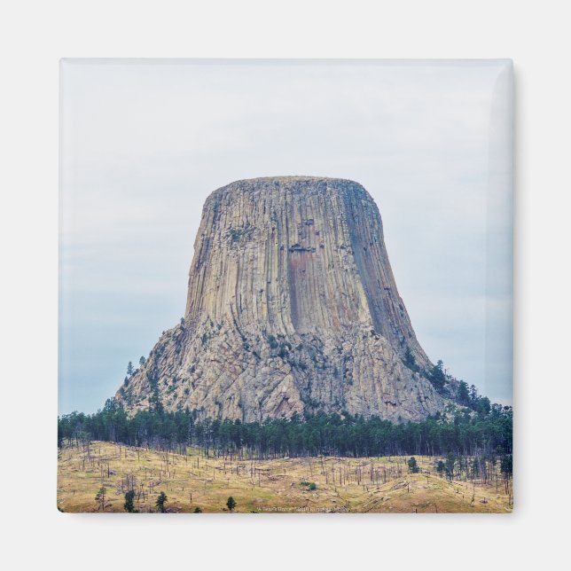 Imã Casa de um Urso (Frente)